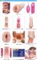 Preview: Glans Massager Omanrock